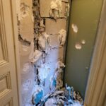 R&eacute;novation appartement Paris, Globale r&eacute;novation